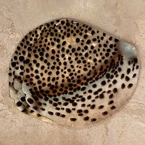 Tiger She’ll Print Capiz She’ll Placemats Set of 3